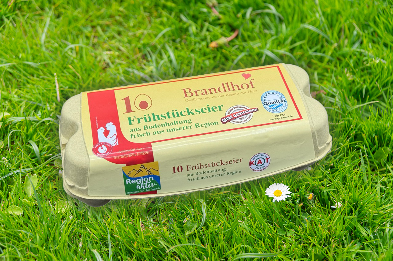 10 Frühstückseier Bodenhaltung