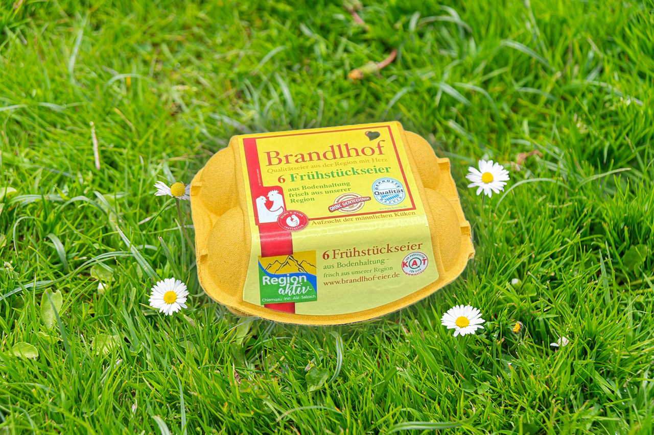 6 Frühstückseier aus Bodenhaltung
